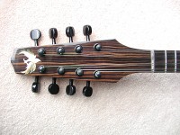 Headstock Detail